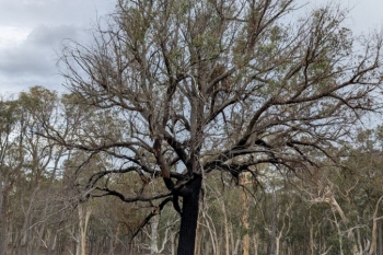 PXL_20250320_052455300.MP_