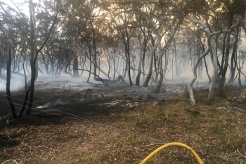 Braidwood-Fire-9-December-2019-13