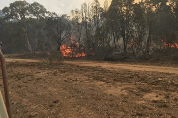 Braidwood-Fire-9-December-2019-16