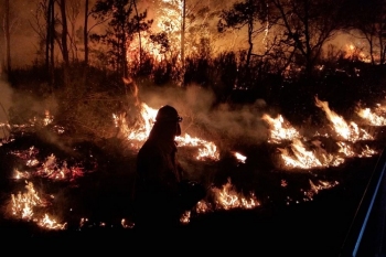 Charlies-Forest-Fire-January-2020-2