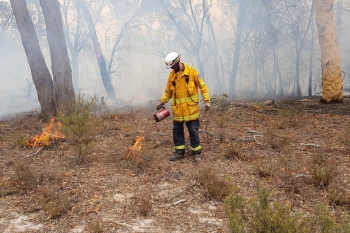 Charlies-Forest-Fire-January-2020-3