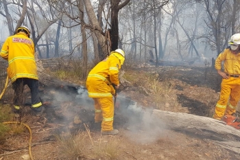 Charlies-Forest-Fire-January-2020-5