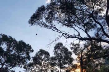 Deployment-To-Tumut-23-Jan-2019-11