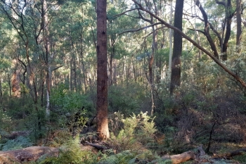 Deployment-To-Tumut-23-Jan-2019-6
