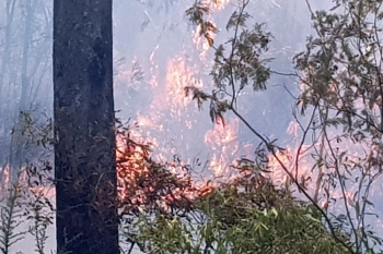 Deployment-To-Tumut-23-Jan-2019-9
