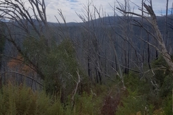 Deployment-to-Victoria-14-March-2019-3
