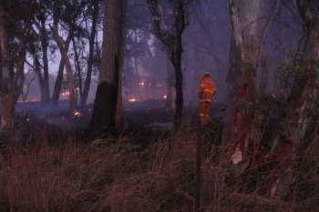 Dicks-Creek-Rd-Fire-Jan-2013-1