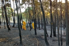 Duke Rd - ACT - NSW Mar 2017