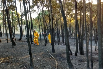Duke-Rd-ACT-NSW-Fire-Mar-2017-1