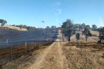 Duke-Rd-ACT-NSW-Fire-Mar-2017-12