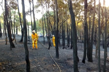 Duke-Rd-ACT-NSW-Fire-Mar-2017-2