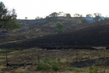 Cobblers-Rd-Fire-Jan-2013-3