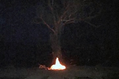 Kangiara Fire Feb 2017