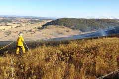 Mt Spring Fire Jan 2017