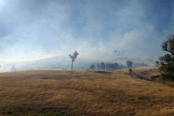 Mt-Spring-Fire-29-Jan-2017-8