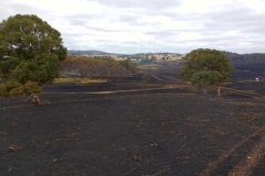 Mulligans Flat Fire Jan 2017