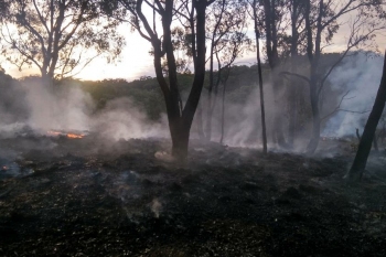 Murrumbateman-Rd-Fire-13-Apr-2019-5