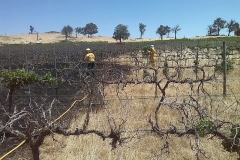 Nanima Rd Fire Feb 2014