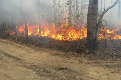 Northern NSW Deployments - Spring 2019