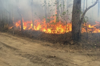 Northern-NSW-Deployments-Spring-2019-2