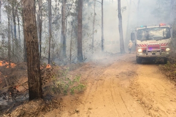Northern-NSW-Deployments-Spring-2019-3