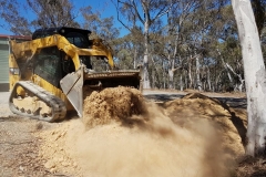 Shed Working Bee - Nov 2019