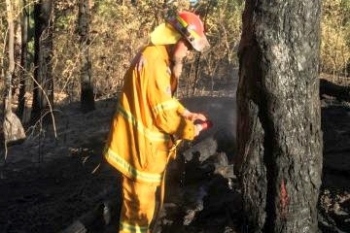 Shoalhaven-Strike-Team-15-August-2018-2