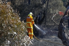 Tarago Fire Jan 2017