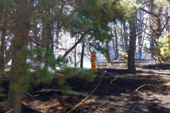 Tarago-Fire-17-Jan-2017-12