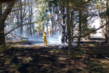 Tarago-Fire-17-Jan-2017-13