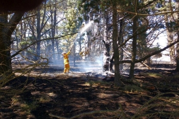 Tarago-Fire-17-Jan-2017-14