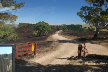 Tarago-Fire-17-Jan-2017-5