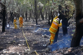 Tarago-Fire-17-Jan-2017-9