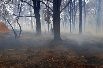 Taralga-Fire-21-Jan-2018-11