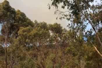 Taralga-Fire-21-Jan-2018-7
