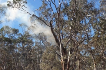 Towrang-Fire-19-Mar-2018-19