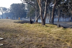 Wargeila Rd Fire Mar 2018