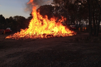 Warrambui-Pile-Burn-Mar-2014-1