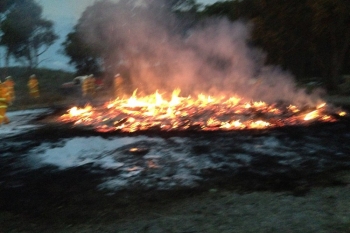 Warrambui-Pile-Burn-Mar-2014-2