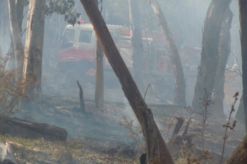 Yarh-HRB-Aug-2014-25