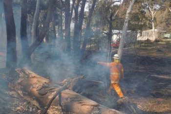 Yarh-HRB-Aug-2014-26