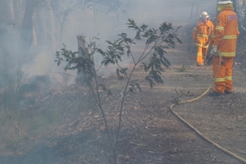 Yarh-HRB-Aug-2014-30