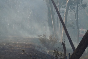 Yarh-HRB-Aug-2014-31