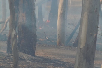 Yarh-HRB-Aug-2014-32