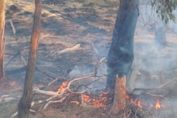 Yarh-HRB-Aug-2014-33