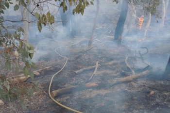 Yarh-HRB-Aug-2014-36