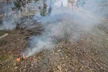 Yarh-HRB-Aug-2014-40