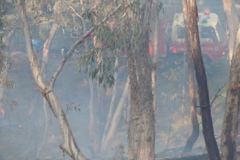 Yarh-HRB-Aug-2014-43