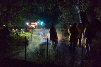 Tree-Fire-3-11-June-2017