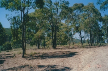 Yass-River-Site-Prep-Dec-2003-3